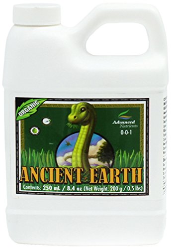 Advanced Ancient Earth