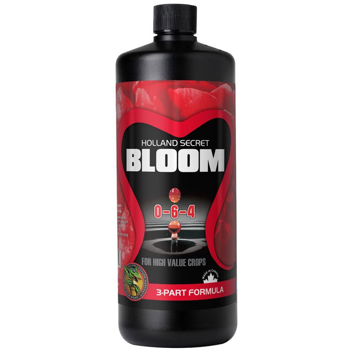 Holland Secret Bloom