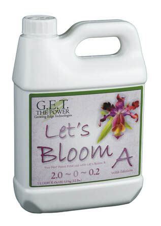 G.E.T Let's Bloom A & B