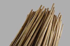 Natural Bamboo Cane Stake 5'